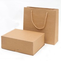 PC013 Exquisite paper bag kraft paper box fashion shopping bag kraft paper bag green bag manufacturers detail view-1